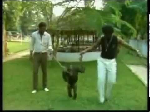 Ali Baba – TchaTcha Merengue (Official Video)